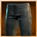 Icon for item "Pantaloni di tessuto dello studioso"