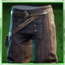 Icon for item "Champion Defender Cloth Pants"