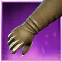 Icon for item "Oczyszczone rękawice Sprzyjającego losu"