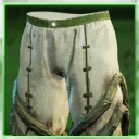 Icon for item "Sprigganbane Leather Pants"