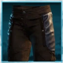 Icon for item "Marauder Soldier Pants of the Sage"
