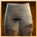 Icon for item "Raider's Pants"