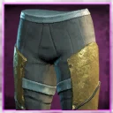 Icon for item "Heartgem Fanatic's Pants of the Sage"