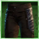 Icon for item "Pantalon de spécialiste de l'Ombre du brigand"