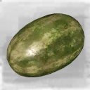 Icon for item "Melon"