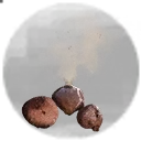 Icon for item "Spores fongiques"