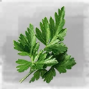 Icon for item "Parsley"