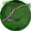 Icon for item "Legno fossile"
