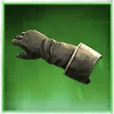 Icon for item "Pilfered Gloves"
