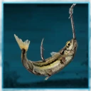 Icon for item "Premium Fish Bait"
