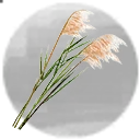 Icon for item "Reeds"