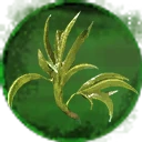 Icon for item "Rivercress Leaf"