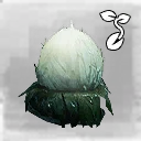 Icon for item "Shockbulb Seed"