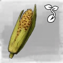 Icon for item "Semilla de maíz"