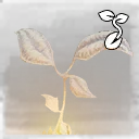 Icon for item "Lifebloom Seed"