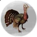 Icon for item "Polluelo de pavo"