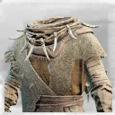 Icon for item "Horned Sage Robes"