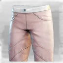 Icon for item "Aegis of Providence Pants"