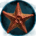 Icon for item "Étoile de mer"