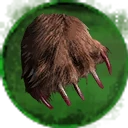 Icon for item "Pazur niedźwiedzia"