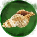 Icon for item "Warbling Conch"