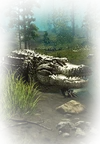 Chasseurs de Alligator requis