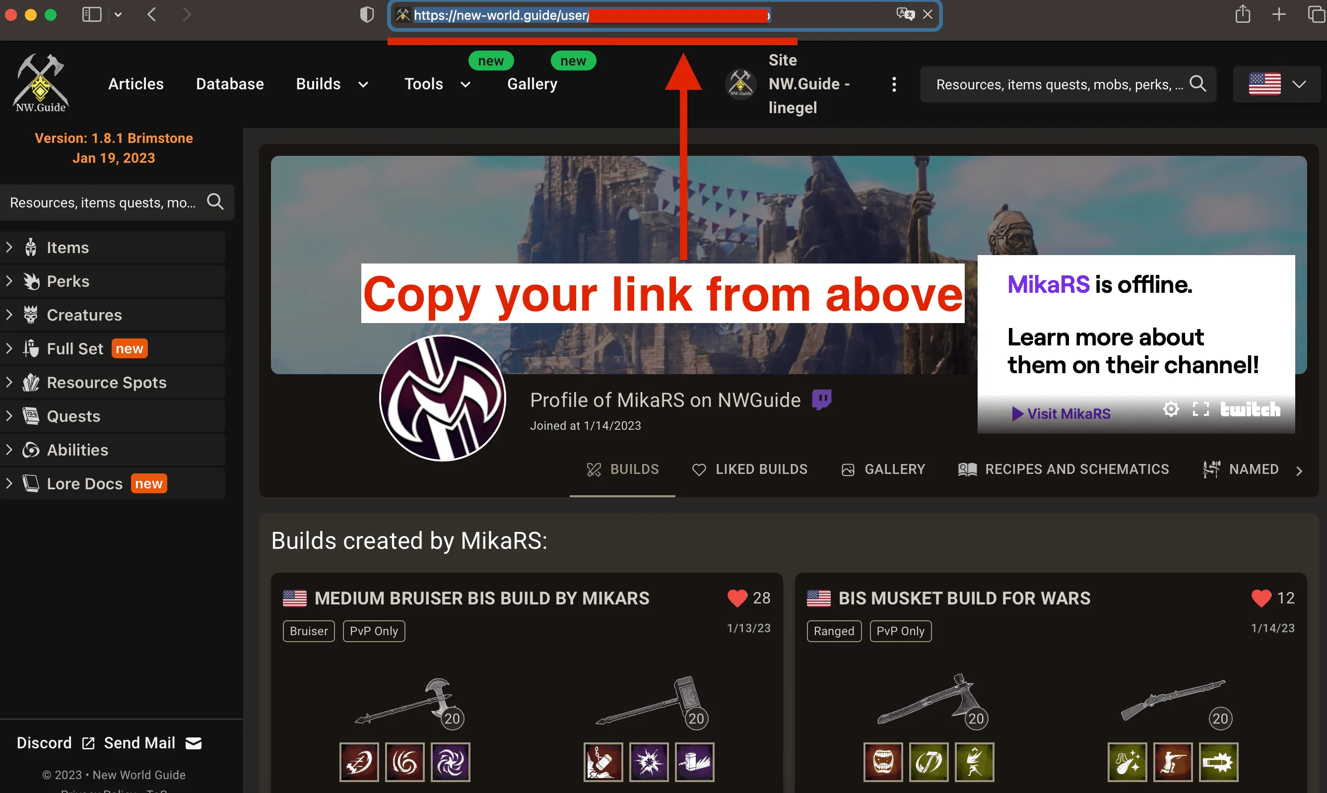 Copy the link to the page of YOUR profile